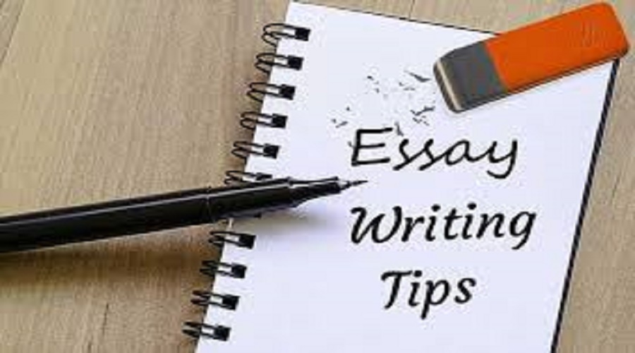 essay writing tips