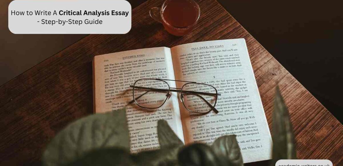 Critical Analysis Essay: Structure, Format and Writing Guide for Students